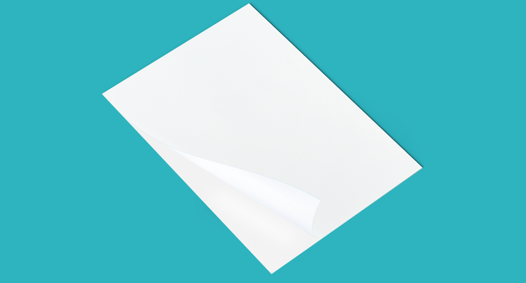 VinyloSprint White Pro Mat 100 M1 - Image 3